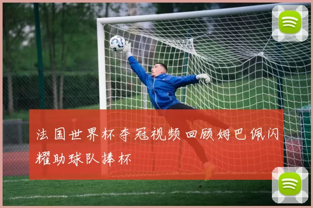 法国世界杯夺冠视频回顾姆巴佩闪耀助球队捧杯