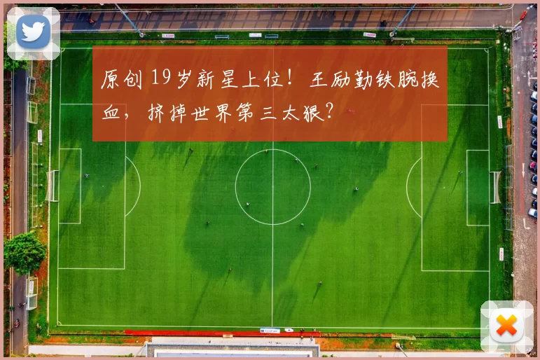 原创 19岁新星上位！王励勤铁腕换血，挤掉世界第三太狠？